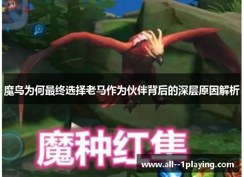 魔鸟为何最终选择老马作为伙伴背后的深层原因解析